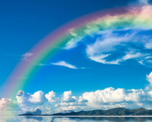 企画・アイディア