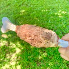 マンガ肉の作り方ーBBQ編ー