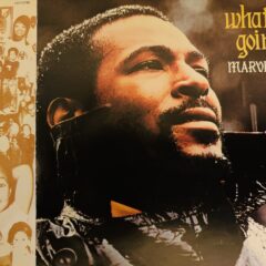 Marvin Gaye 『Mercy Mercy Me (The Ecology) 』