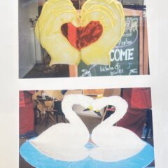 最高に彩光⭐︎