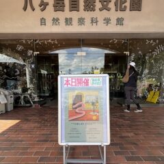 推しアーティストに会えたお話